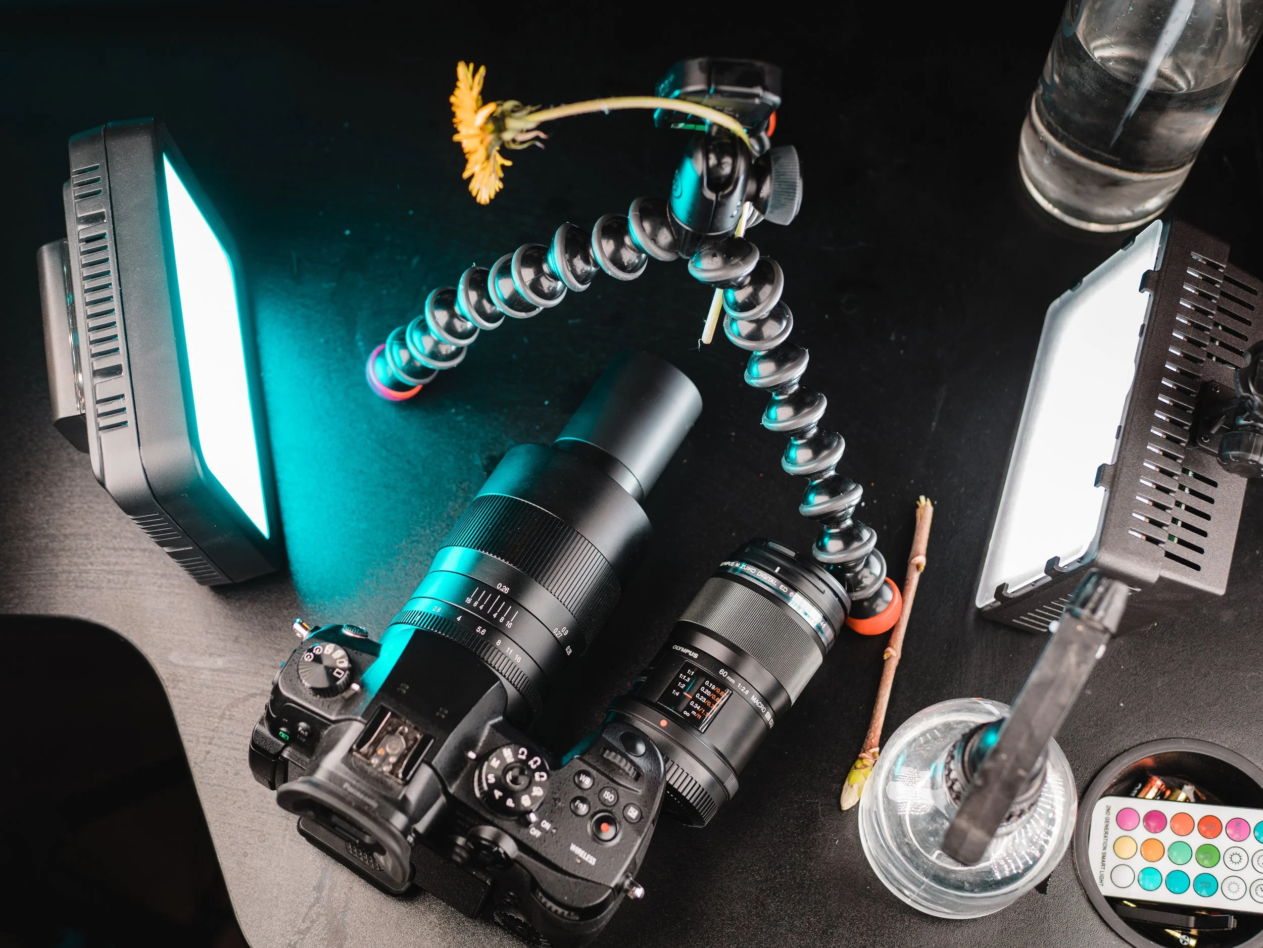 Olympus 60mm f2.8 Macro review — photo examples — Micro Four Nerds